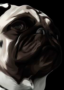 Bulldog 8