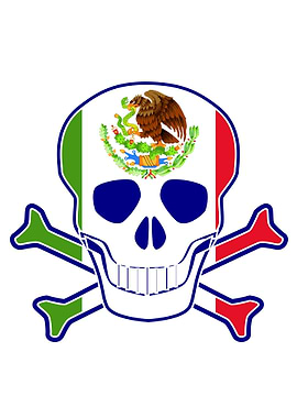 Mexican Flag Skull