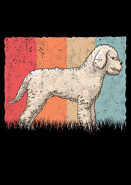 Lagotto Romagnolo Vintage