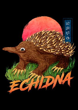 Echidna Black