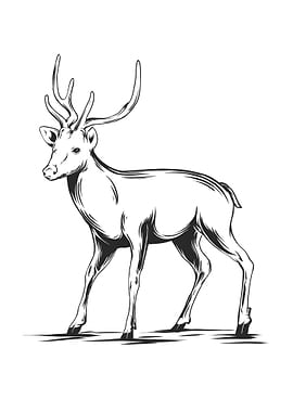 deer 3