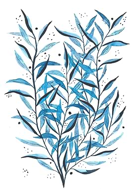 Elegant plant with blue an