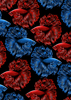 Pattern Bettas