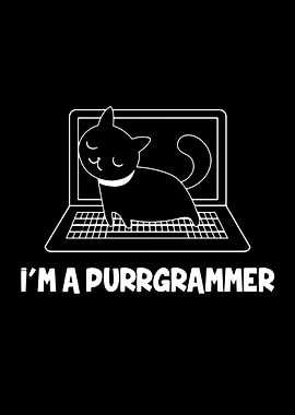 Programmer Cat