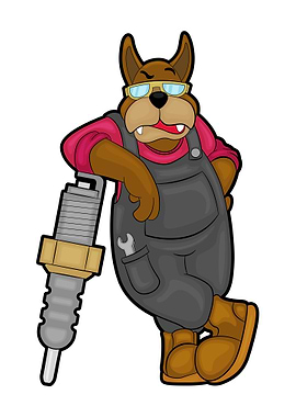 Dog Mechanic Spark plug