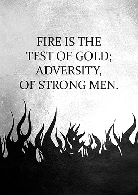 Fire of Adversity