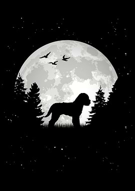 Lagotto Romagnolo Mond