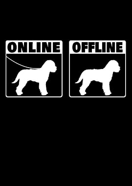 Lagotto Romagnolo Internet