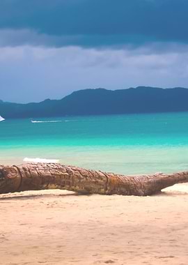 Paradise beach landscape n