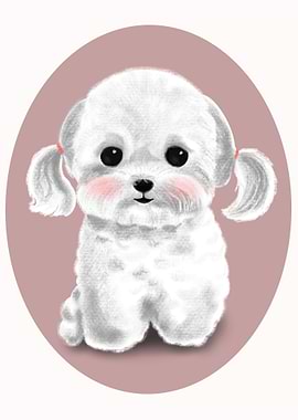 Maltese dog