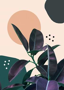 Ficus Summer Abstract 1