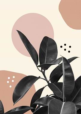 Ficus Summer Abstract 2