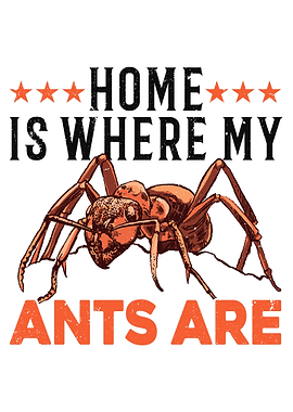 Home Is Where My Ants Are