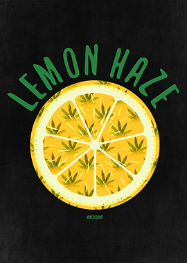 Lemon Haze Weed Strain