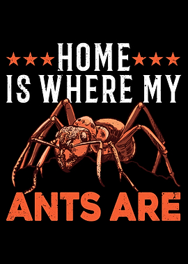 Home Is Where My Ants Are