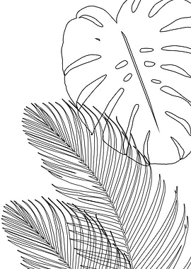 Monstera Palm Line Art 2