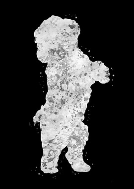 Bichon frise breed dog