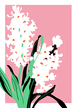 Bold Flower Hyacinth