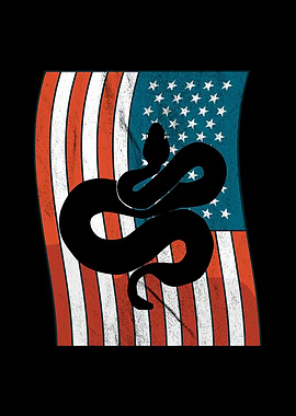 Snake silhouette on the US