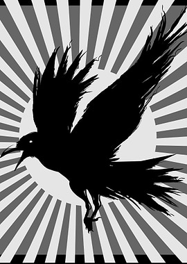 Raven Black Crow Aesthetic