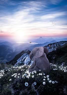 Baby Elephant in Mountains