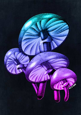 Trippy Magic Mushrooms