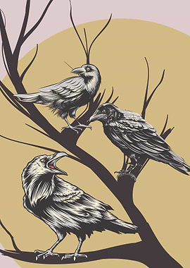 Raven Black Crow Aesthetic