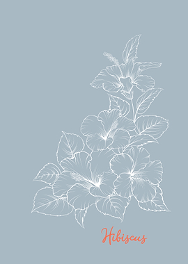 Hibiscus Tropical Flower