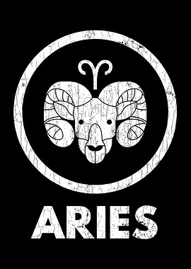 Aries Apparel For Men And