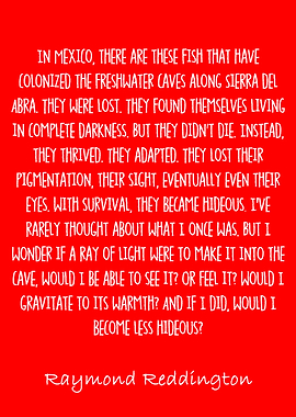 raymond reddington quotes