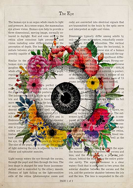 Eye Flower Anatomy