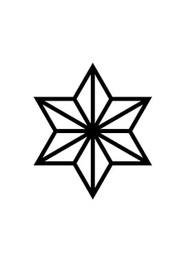 Black and White Geometric