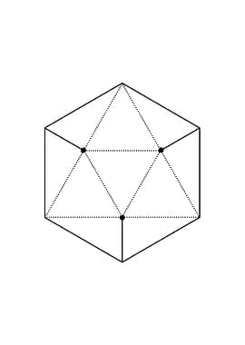 Black and White Geometric