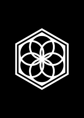 Black Sacred Geometry Rune