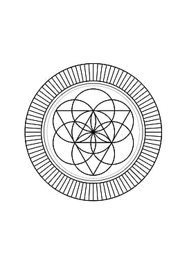 Black and White Geometric