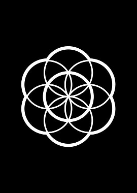 Black and White Geometric