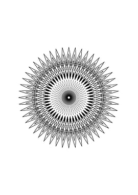 Black and White Geometric