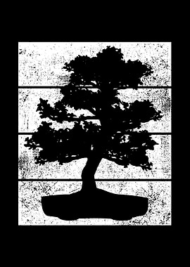 Bonsai Vintage