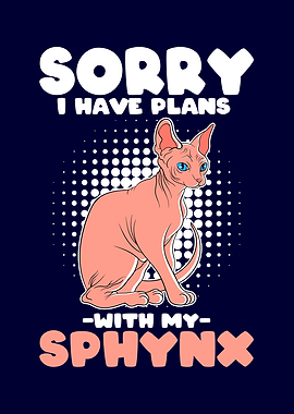 Plans With My Sphynx Cat