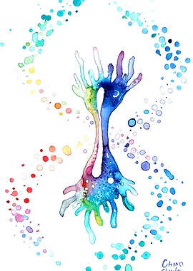 DNA and dividing cell