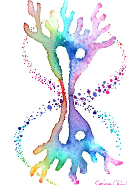 Dividing cell and DNA