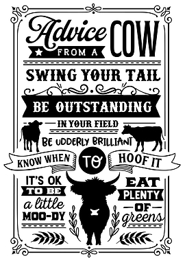 Advice From A Cow White