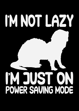 Not Lazy Ferret