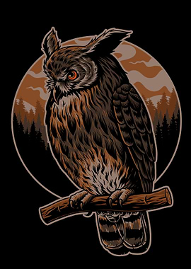 Owl Illustration