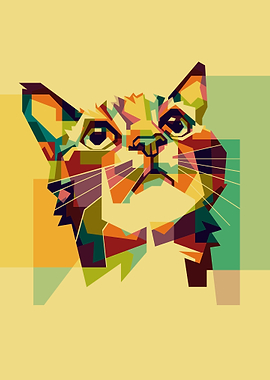 Colorful cat hope