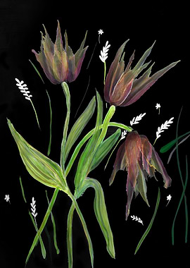 Tulips of the Valley