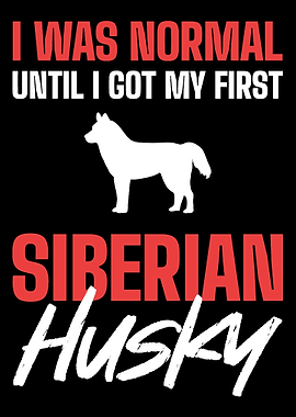 My First Siberian Husky Ow