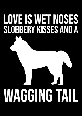 Love is wet noses Animal P