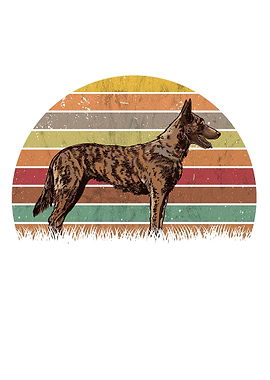 Hollandse Herder Retro