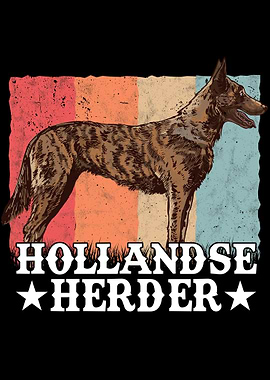Hollandse Herder Retro